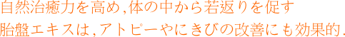e38397e383a9e382bbe383b3e382bfe79982e6b395e38080e5898de696871