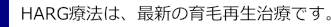 HARG療法（ハーグ）は最新の育毛再生治療です。