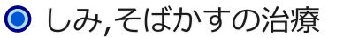 シミ治療,そばかすの改善 シミ治療,そばかすの改善