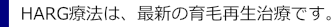 HARG療法（ハーグ）は最新の育毛再生治療です。
