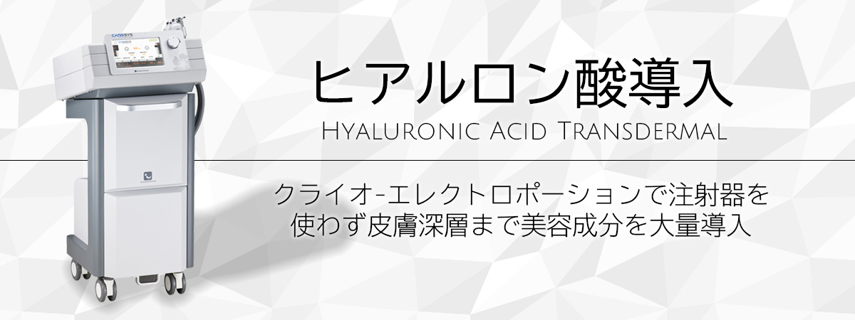 ヒアルロン酸導入 クライオエレクトロポーションで注射器を使わず皮膚深層まで美容成分を大量導入