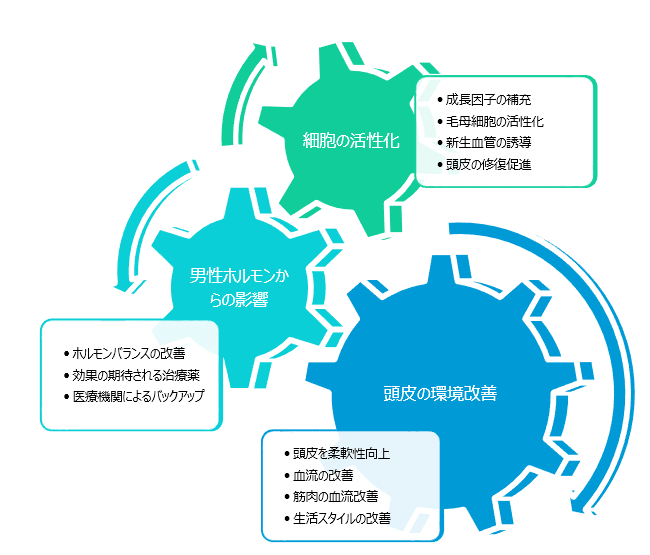 育毛発毛に必要な3要素