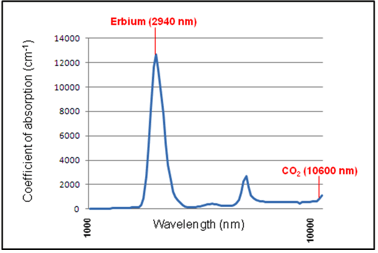 エルビウムヤグレーザーの吸収率