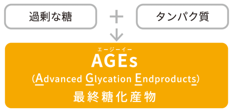 過剰な糖 ＋ タンパク質 → AGEs（最終糖化産物）