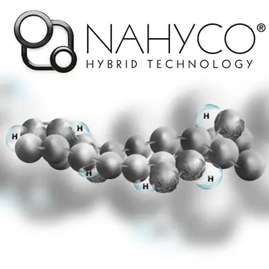 NAHYCO分子モデル