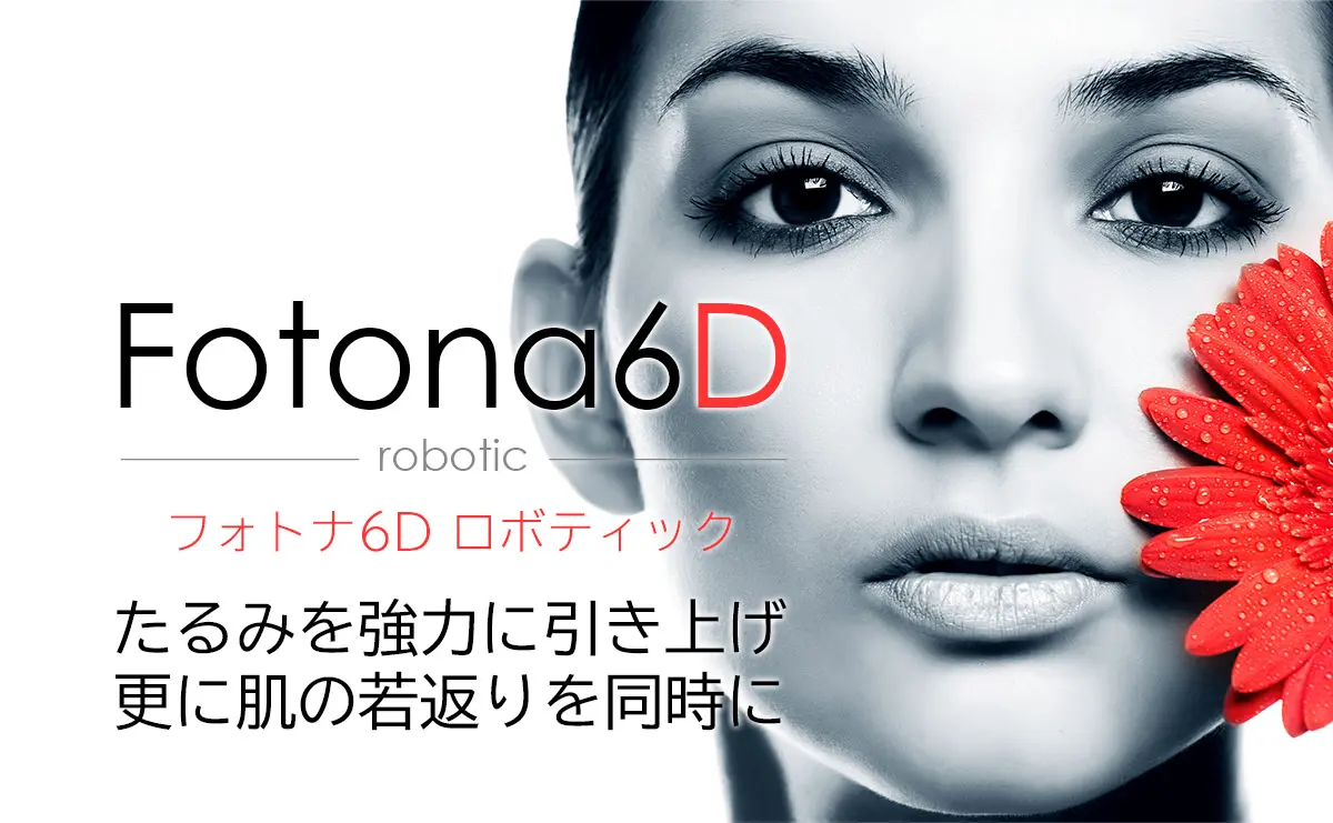 フォトナ6D