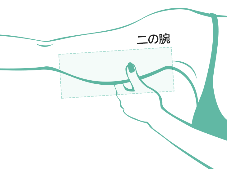 二の腕