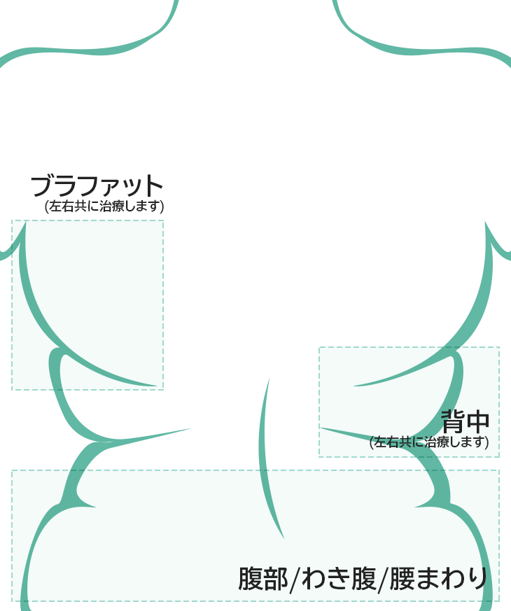 ブラファット・背中・腹部・わき腹・腰回り
