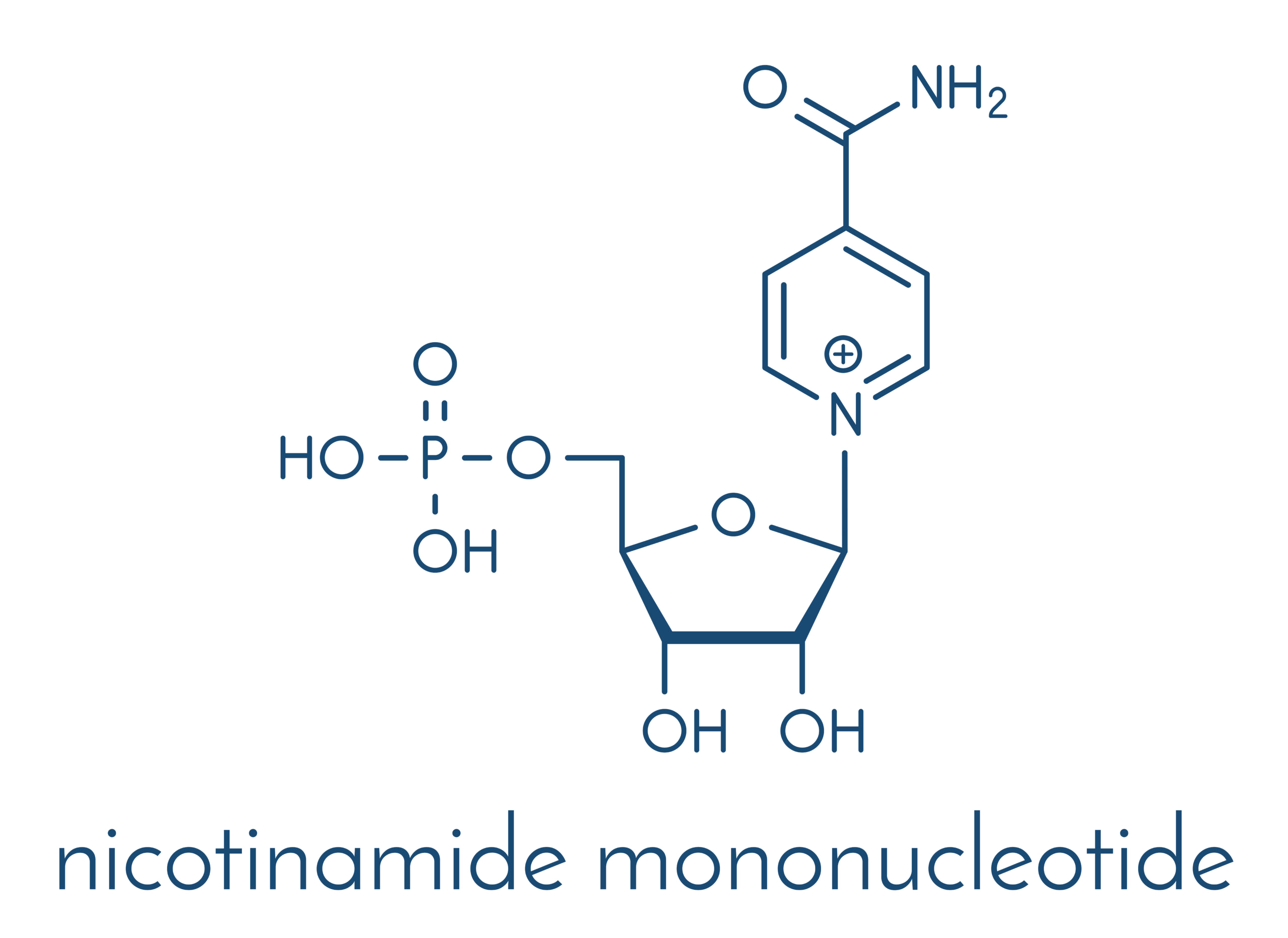 NMN分子図