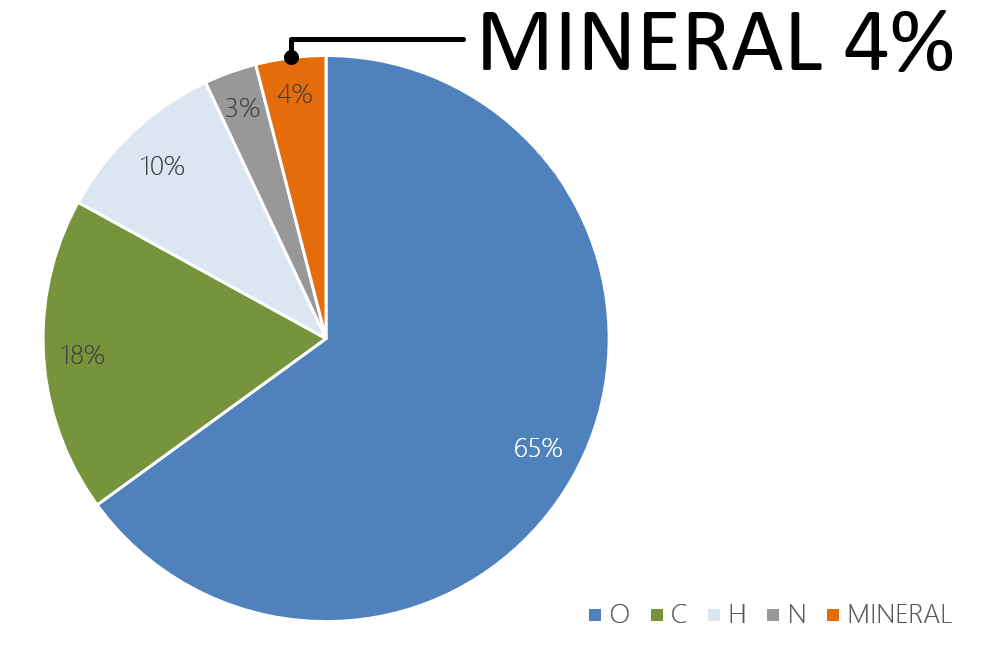 人体の4%はミネラル