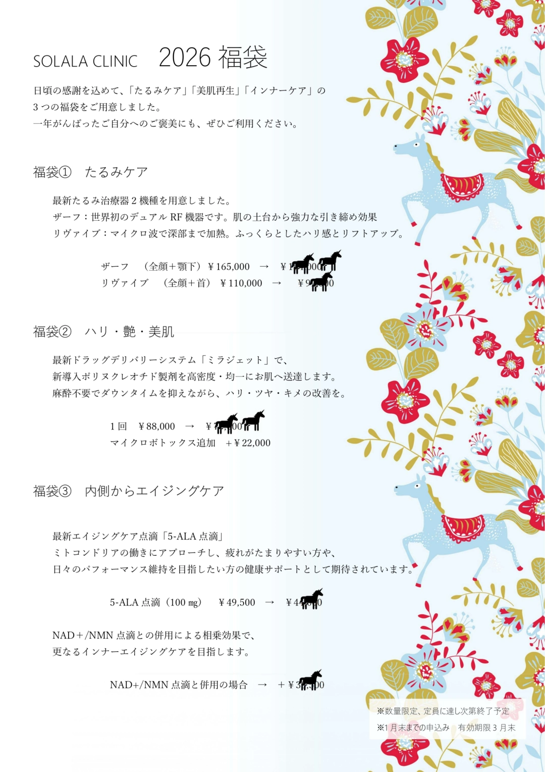 2026年 福袋 Web版