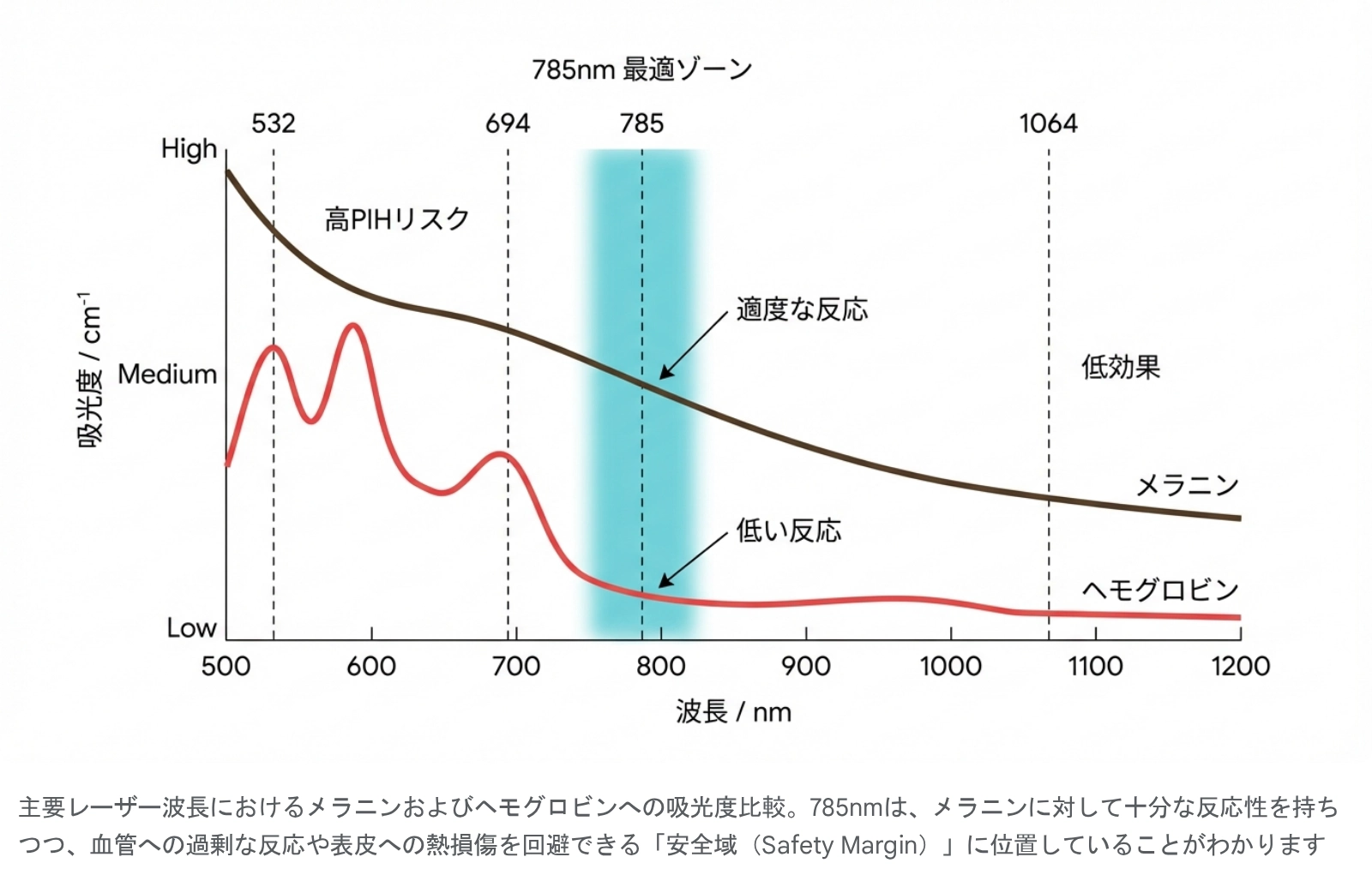 主要レーザー波長におけるメラニン及びヘモグロビンへの吸光度比較。785nmは、メラニンに対して十分な反応性を持ちつつ、血管への過剰な反応や表皮への熱損傷を回避できる「安全域（Safety Margin）」に位置していることがわかります。