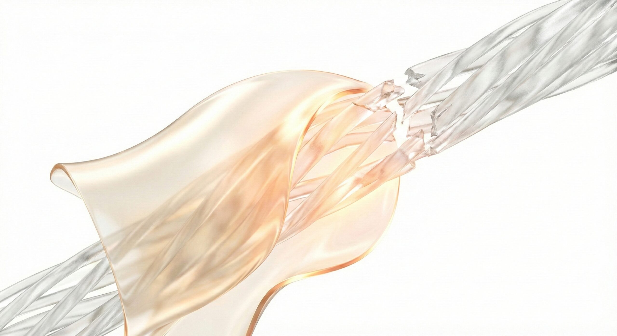 HSP70修復メカニズム