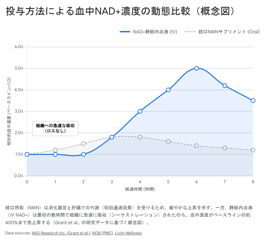 投与方法による血中NAD+濃度の動態比較