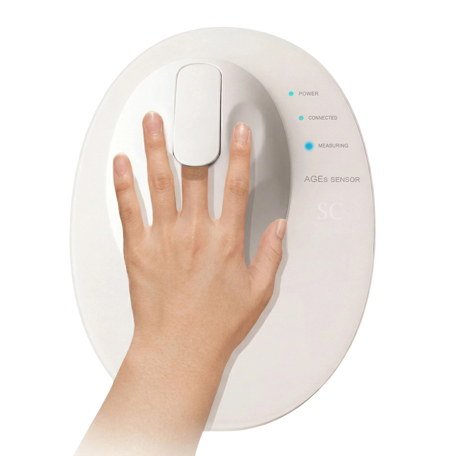 体内糖化度AGEs検査