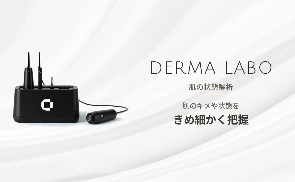 DermaLabo 肌の状態解析