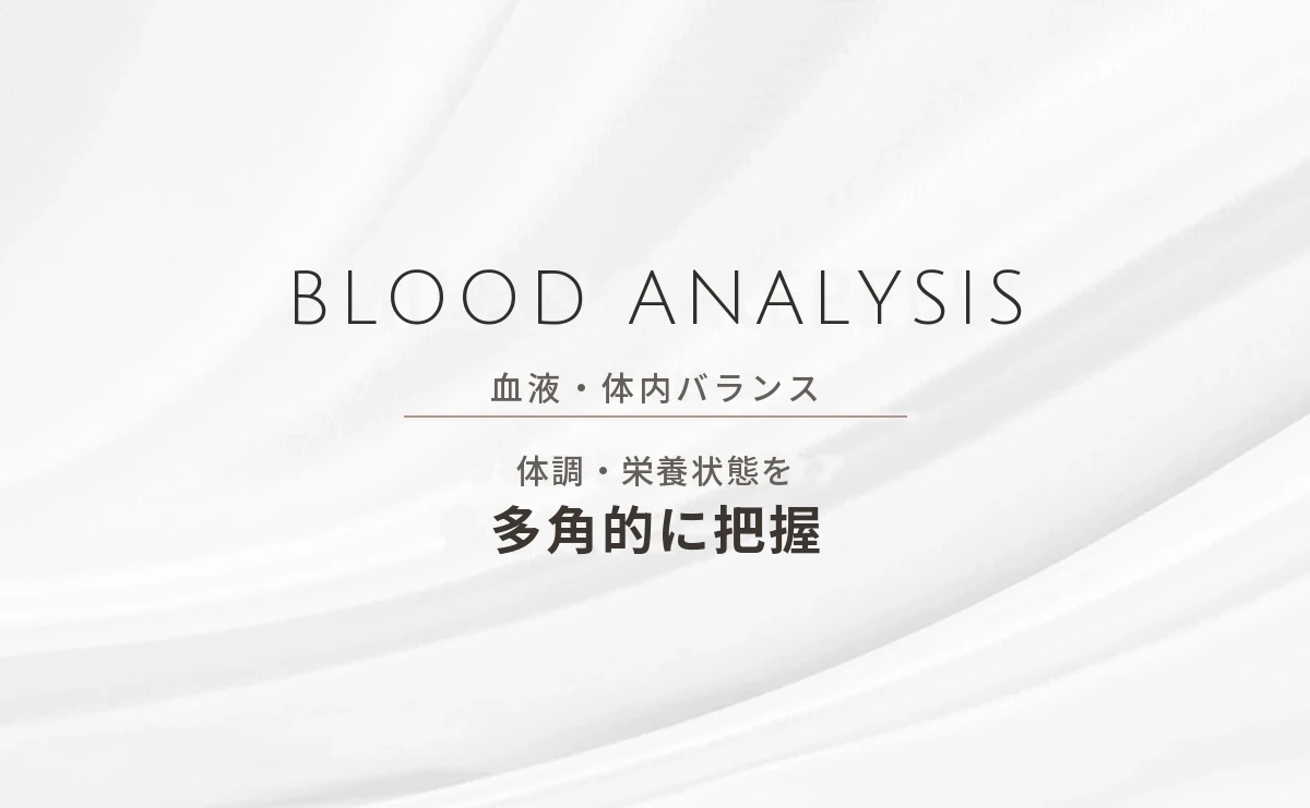 その他の検査 血液・体内バランス検査