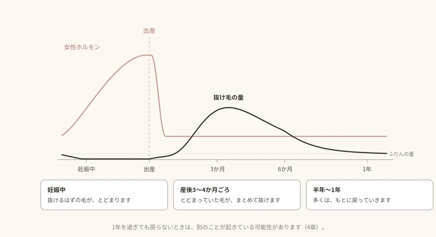 妊娠中から産後1年までの女性ホルモンと抜け毛の量の推移。産後3〜4か月ごろから抜け毛が増え、半年から1年で落ち着く