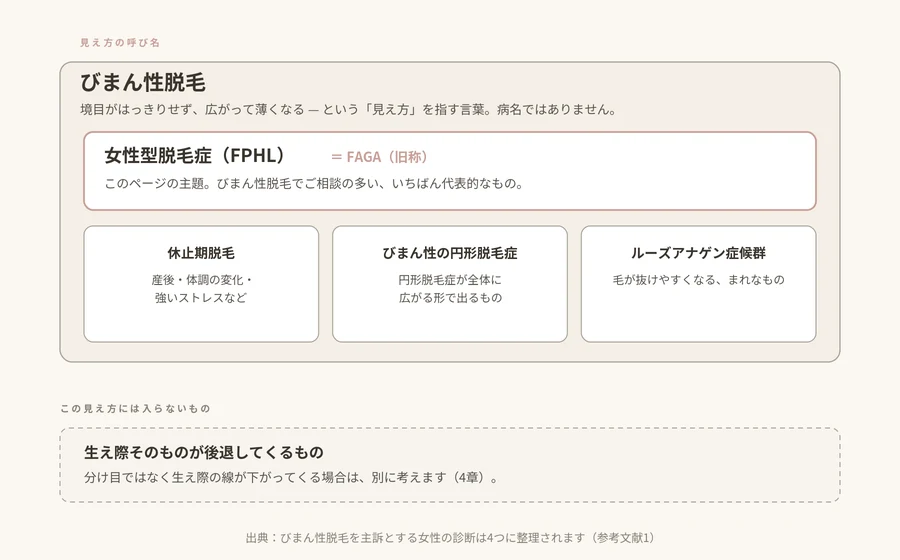 びまん性脱毛という見え方の中に、女性型脱毛症（FPHL、旧称FAGA）・休止期脱毛・びまん性の円形脱毛症・ルーズアナゲン症候群の4つが含まれることを示した関係図